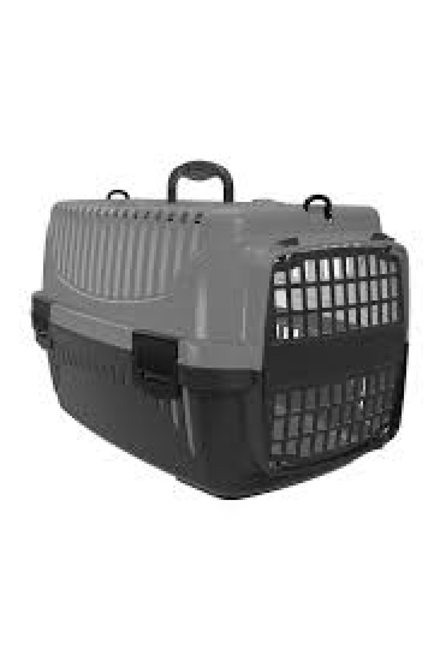 PT-105 PET CARRIER WITH PLASTICS FRONT DOOR NO: 2 - Assorted Co WIC8