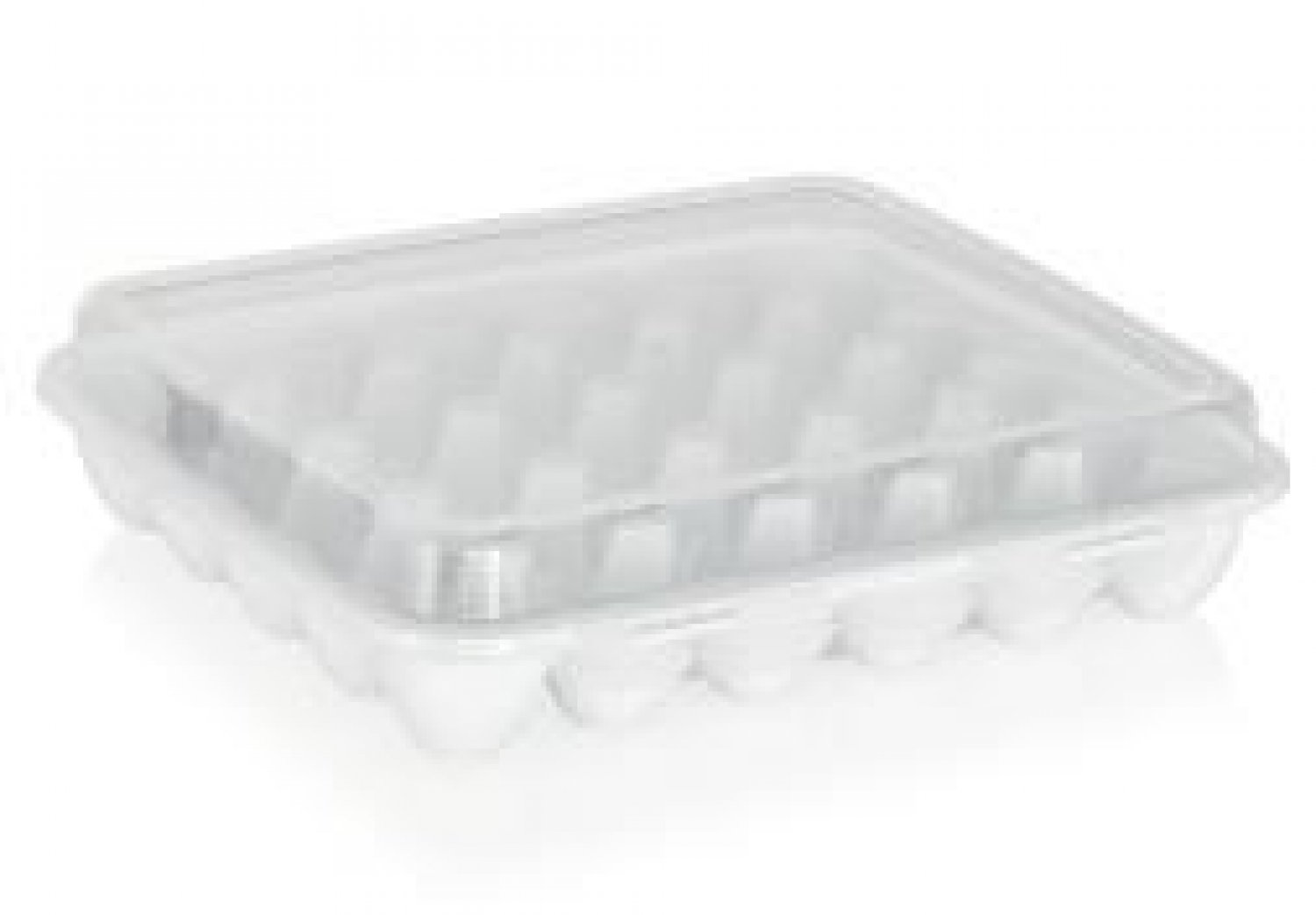 YU-130 EGG HOLDER 30-POCKET - Transparent 5JGP
